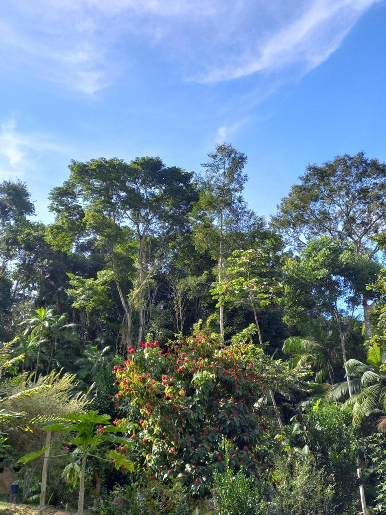 Recanto Dos Lobosco Villa Paraty Bagian luar foto