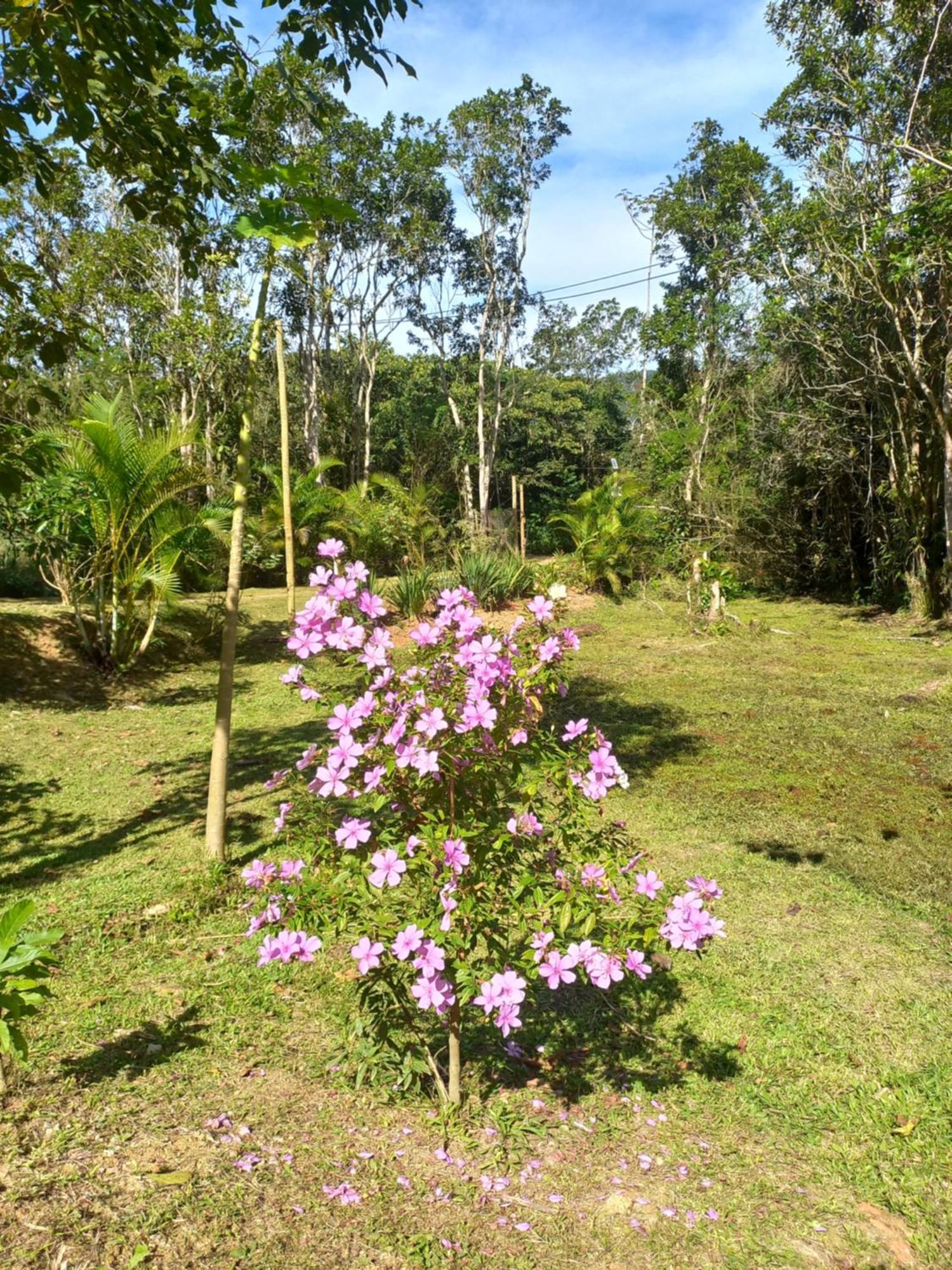 Recanto Dos Lobosco Villa Paraty Bagian luar foto