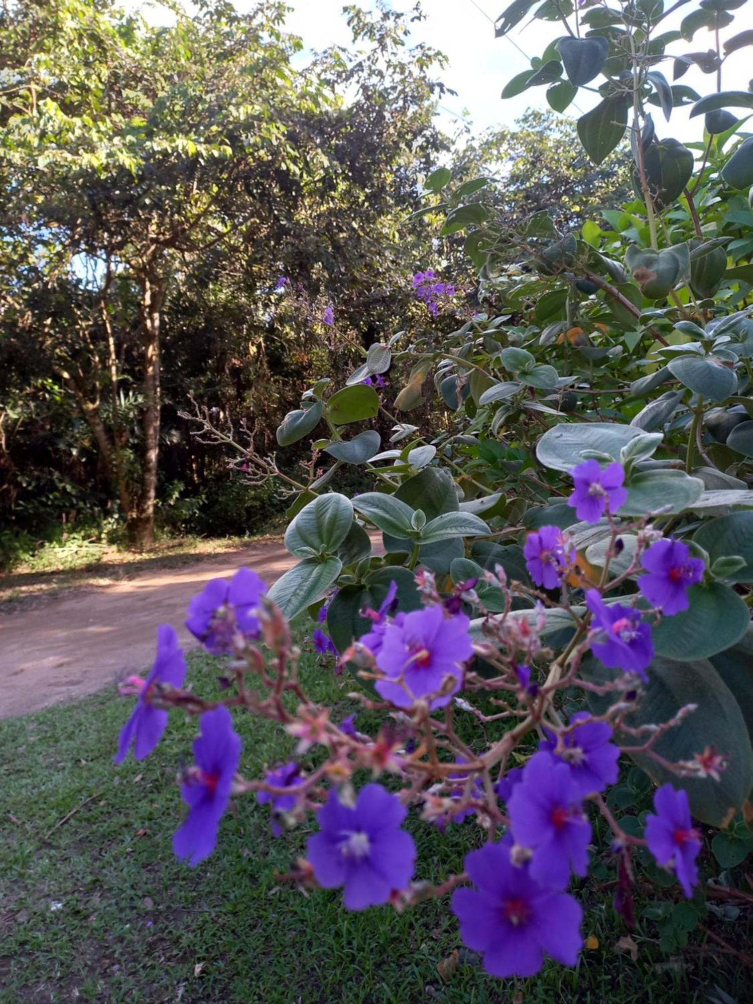 Recanto Dos Lobosco Villa Paraty Bagian luar foto