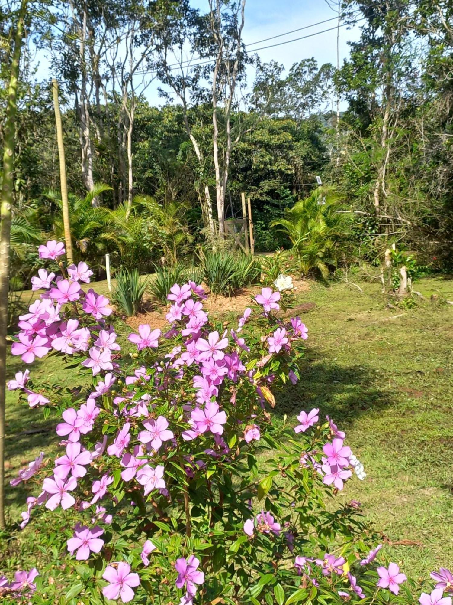 Recanto Dos Lobosco Villa Paraty Bagian luar foto